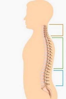 إصابة هشاشة العظم من أجزاء مختلفة من العمود الفقري